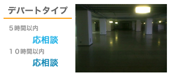 �f�p�[�g�^�C�v